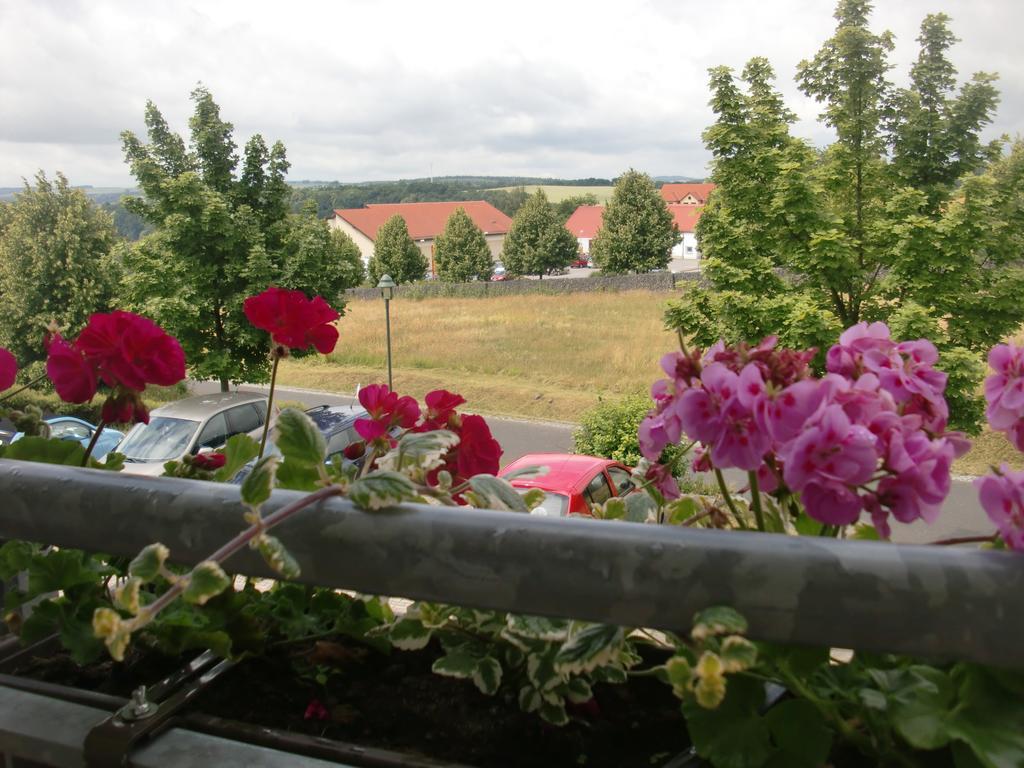 Hotel Am Heidepark Dippoldiswalde Pokoj fotografie